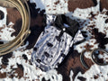 Black Cows Tags Boy Bubble